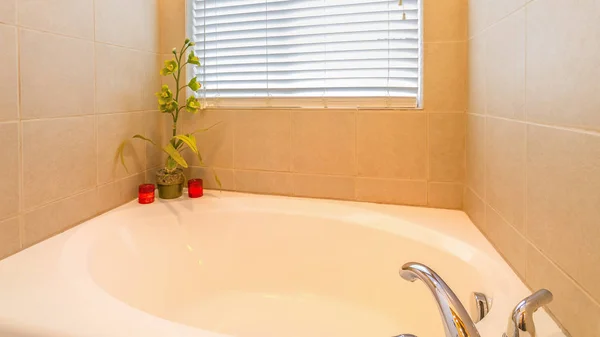 Блестящая белая ванна с горшечным растением и красной жвачкой — стоковое фото