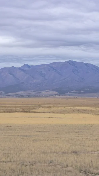 Ramka pionowa panoramiczny widok na rozległe pole trawiaste pod niebo wypełnione Puffy chmur — Zdjęcie stockowe