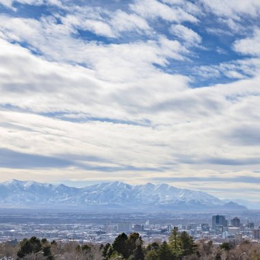 Kare çerçeve Ön planda yemyeşil ağaçlarla çevrili hareketli bir şehrin panoramik görünümü