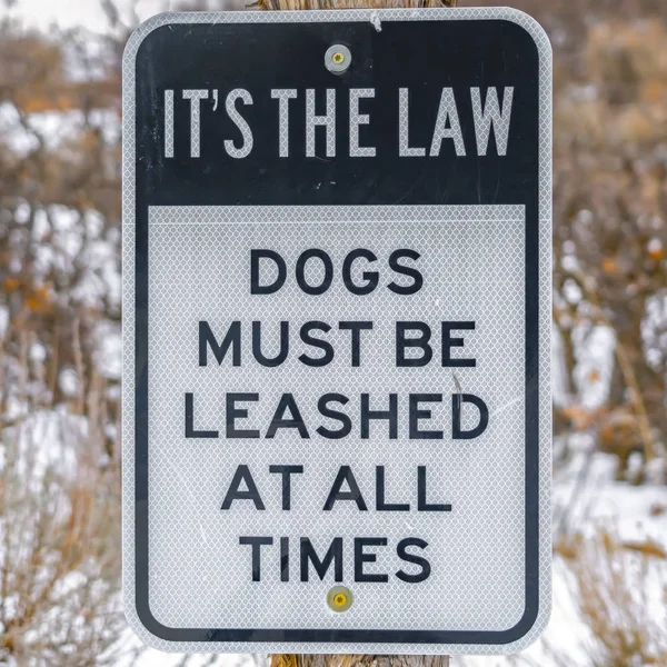 Square Close up of a Dog Leash sign on a wooden post against a s — Stock Photo, Image