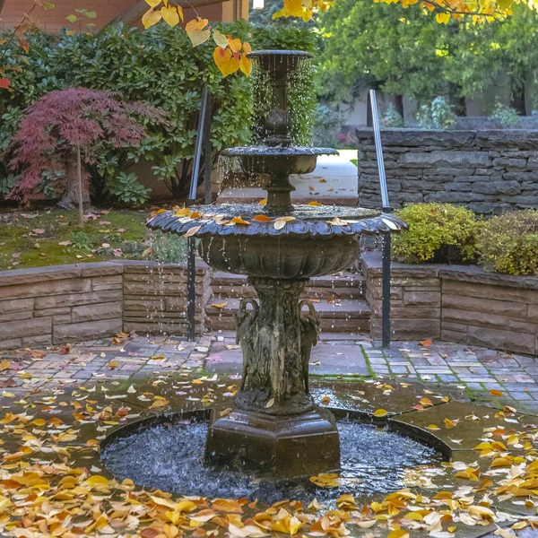 Square frame Beautiful tiered fountain on a garden with lush trees and plants in autumn — Stock Photo, Image