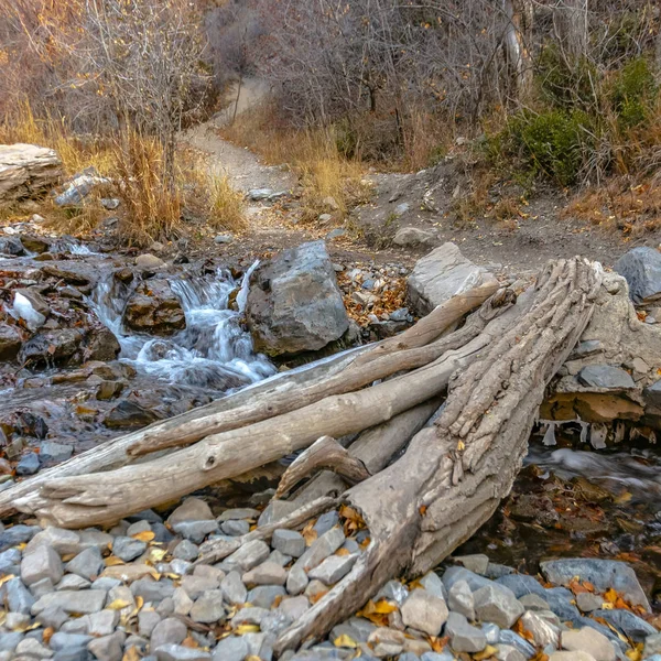 Ponte quadrada feita de tronco de árvore sobre um riacho rochoso com água corrente rasa — Fotografia de Stock