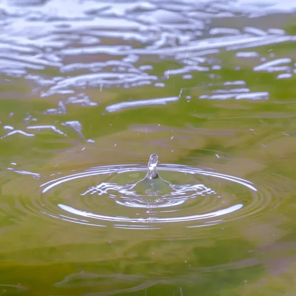 Square frame Stone dropped in water creating a splash and ripple on the glistening lake