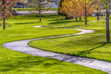 Güneşli bir günde genç renkli ağaçlarile yemyeşil bir alanda kavisli yol