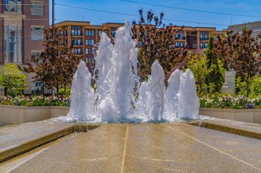 Çiçekler ve ağaçlara karşı yukarı doğru yükselen köpüklü su ile Çeşme