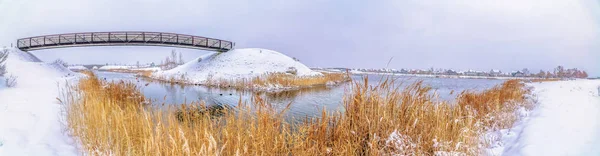 Exuberantes hierbas en la orilla cubierta de nieve de un tranquilo lago plateado en invierno — Foto de Stock