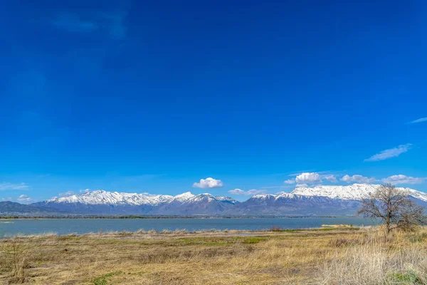 Hierbas marrones en la orilla de un lago que refleja el cielo azul —  Fotos de Stock