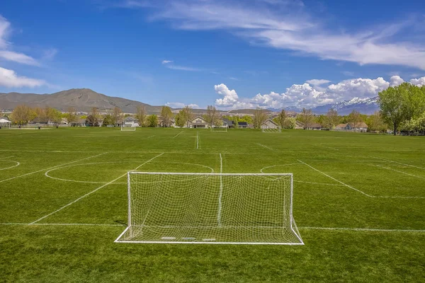Goal nets and markings on a soccer field with houses and trees i — Stock Photo, Image