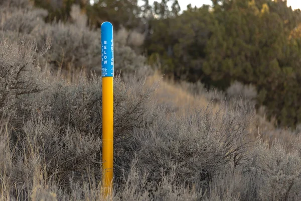 Ярко-желтый столб предосторожности с голубым кончиком, изолированным от коричневых кустарников — стоковое фото