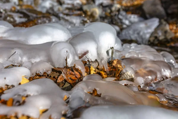 Nahaufnahme gefrorenen Wassers auf einem felsigen Bach mit verstreuten abgefallenen braunen Blättern — Stockfoto