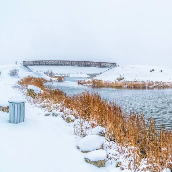 Marco Cuadrado Panorama de un lago ondulado con exuberantes hierbas en la orilla cubierta de nieve — Foto de Stock