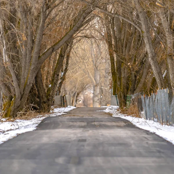 Frame Square Camino pavimentado con eslabón de cadena y valla de alambre de púas en medio de un terreno cubierto de nieve — Foto de Stock