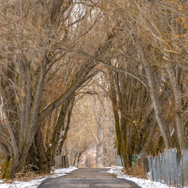 Camino empedrado cuadrado con eslabón de cadena y valla de alambre de púas en medio de un terreno cubierto de nieve — Foto de Stock