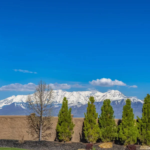 Kare Yemyeşil ağaçlar arka planda karla kaplı dağ ile bir taş çit astar — Stok fotoğraf