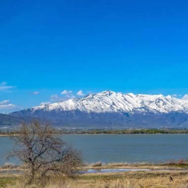 Ön planda kahverengi otlar ve güneşli alan ile bir gölün Kare Panoramik görünümü