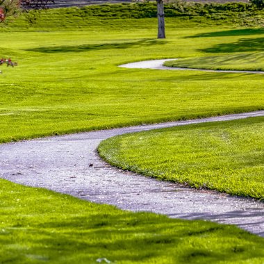 Square Pathway güneşli bir günde genç renkli ağaçlar ile yemyeşil bir alanda kıvrımlı