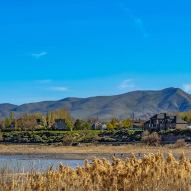 Kıyıda büyüyen kahverengi otlar ile bir gölün önünde Square Lovely evler