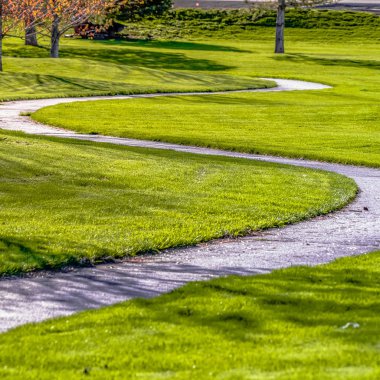 Çerçeve Kare Yol güneşli bir günde genç renkli ağaçlar ile yemyeşil bir alanda kıvrımlı