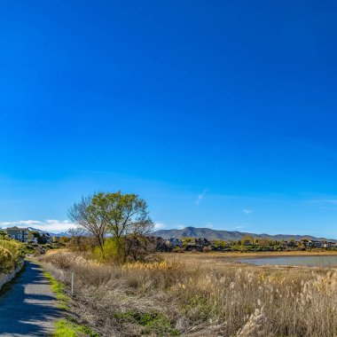 Güneşli bir günde izlenen bir gölü çevreleyen patikaların ve kahverengi otların Kare Panoraması