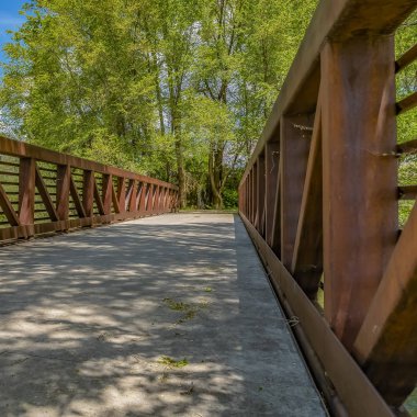 Mavi gökyüzüne karşı parlak yeşil yaprakları ile lüks ağaçlara bakan Square Bridge