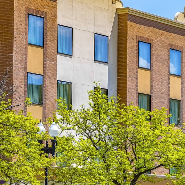 Quadratische Bäume mit leuchtend grünem Laub gegen ein Wohnhaus mit Ziegelmauer — Stockfoto