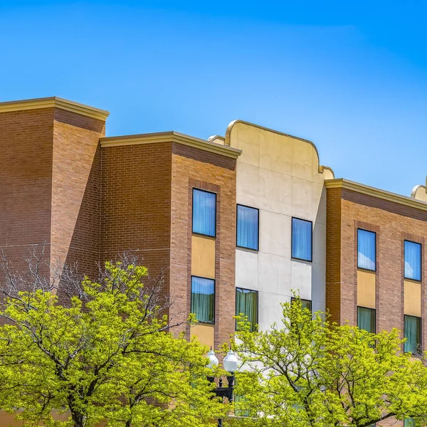 Telaio Alberi quadrati con fogliame verde brillante contro un edificio residenziale con muro di mattoni — Foto Stock