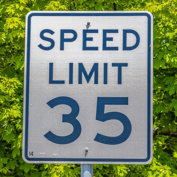 Frame Square Speed Limit road sign against a tree with radiant green foliage on a sunny day