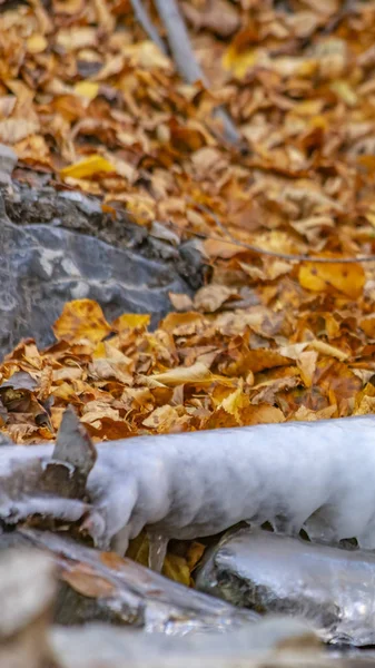 Panoramische Nahaufnahme eines Baches mit gezackten Felsen und durchscheinendem gefrorenem Wasser im Winter — Stockfoto