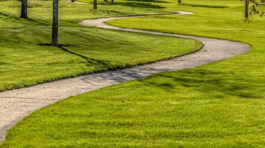 Panoramik çerçeve Pathway zengin yeşil otlar ve Genç ağaçlar ile bir arazi aracılığıyla sarma