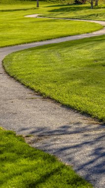 Güneşli bir günde görüntülenen bir sarma yolu ve Genç ağaçlar ile Panorama Grassy arazi