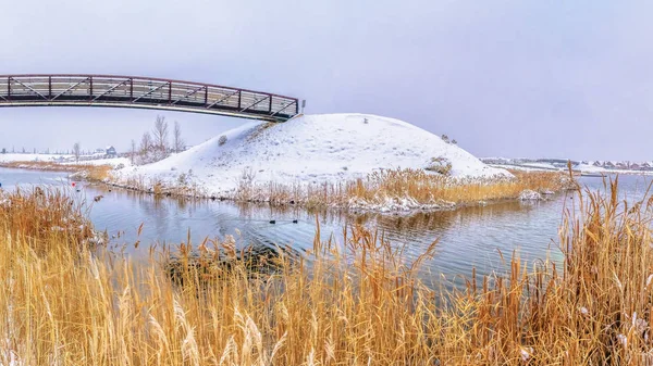 Панорама пишних трав на засніжений берег спокійним сріблястим озером в зимовий період — стокове фото