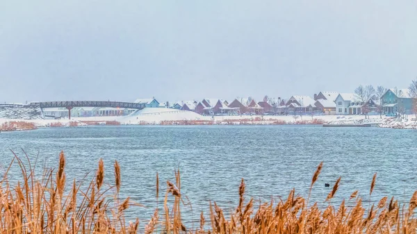 Marco panorámico Hermoso lago ondulante con hierbas de color marrón amarillento en la orilla nevada — Foto de Stock