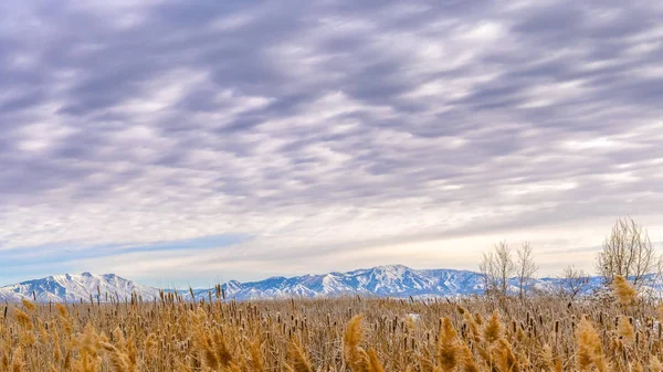 Panorama Panorama de un vasto valle y lejana montaña nevada bajo un llamativo cielo nublado —  Fotos de Stock