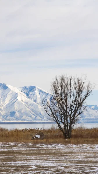 Panorama Enorme terreno herboso con nieve fresca frente a un lago visto en invierno —  Fotos de Stock