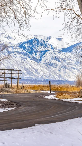 Panorama Road winding through snow covered ground with grasses and towering trees — Stock Photo, Image