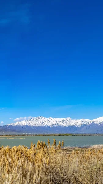 Panorama Panorama de senderos y hierbas marrones que rodean un lago visto en un día soleado —  Fotos de Stock