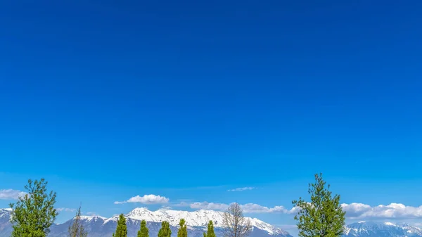 Panorama frame Panorama of a fence lined with lush trees against snow capped mountain — Stock Photo, Image