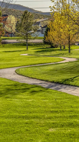 Panorama Pathway winding through a terrain with rich green grasses and young trees — Stock Photo, Image