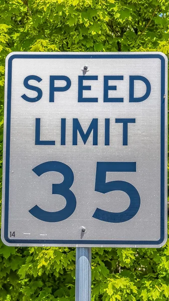 Panorama Speed Limit road sign against a tree with radiant green foliage on a sunny day