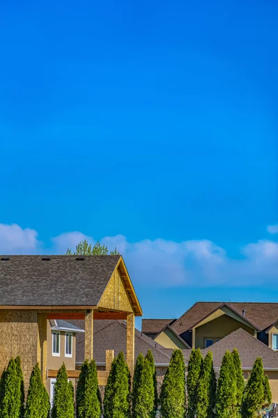 Reihe von üppigen kegelförmigen Bäumen gegen Häuser und weiten blauen Himmel an einem sonnigen Tag — Stockfoto