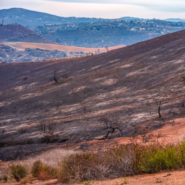 Dağ leylak yangın Fallbrook CA tarafından vuruldu