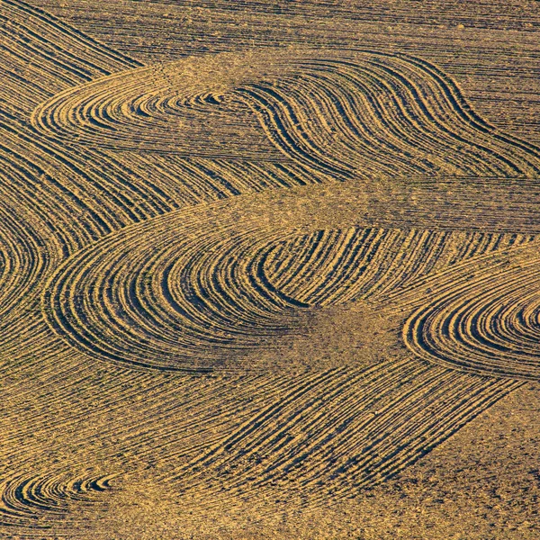 弯曲, 直到棕色泥土场上的痕迹 — 图库照片