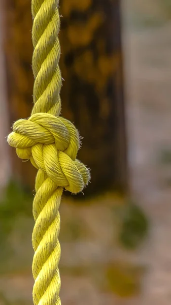 수직 프레임 표면에 먼지가 있는 매듭이 있는 노란색 로프의 클로즈업 뷰 — 스톡 사진