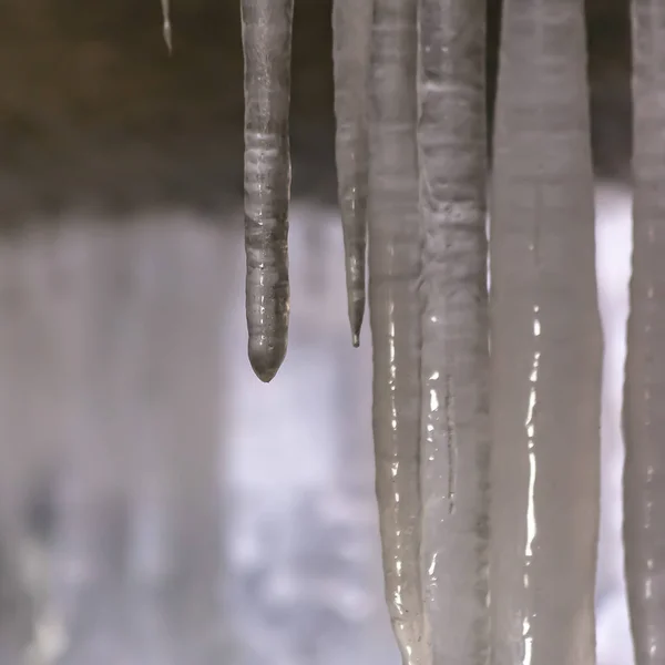 Quadratische Nahaufnahme von glatten und glänzenden Eiszapfen unter einer Brücke im Winter — Stockfoto