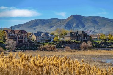 Sahilde büyüyen kahverengi otlar ile bir göl yakınında inşa konutlar