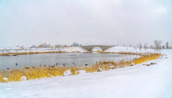 Lago y puente arqueado rodeado de terreno cubierto de nieve en invierno — Foto de Stock