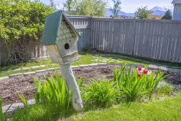 Casa de pássaros de madeira e plantas verdes vibrantes no jardim ensolarado de uma casa — Fotografia de Stock