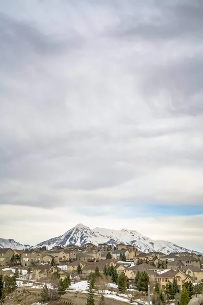 Häuser und Nadelbäume mit Blick auf schneebedeckten Berg unter bewölktem Himmel — Stockfoto