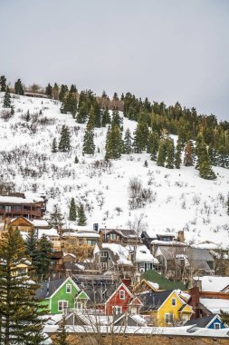 Kışın kar ile bir dağ üzerinde Yerleşim alanı ve yemyeşil kozalaklı ağaçlar