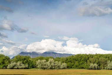 Bulutlu mavi gökyüzü altında yükselen dağ yemyeşil ağaçlar ve geniş çimenli alan